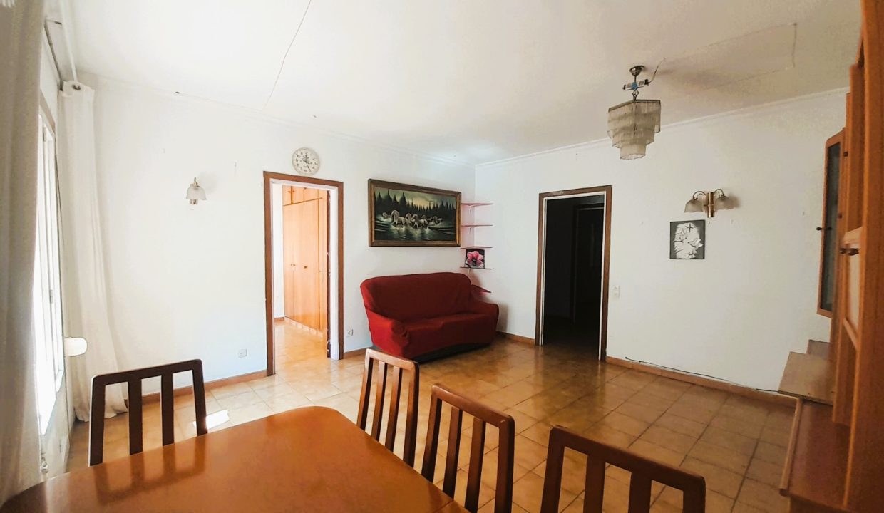 WhatsApp Image 2026-03-02 at 15.20.13