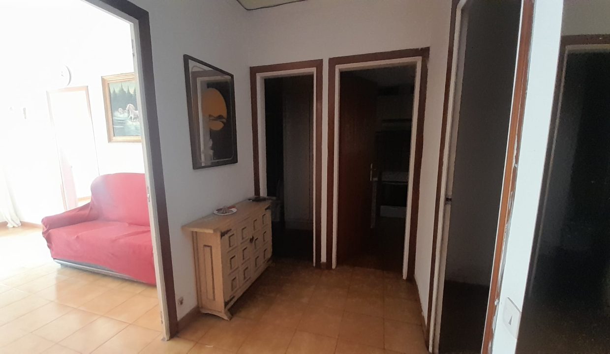 WhatsApp Image 2026-03-02 at 15.20.38 (4)