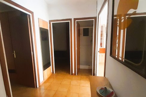 WhatsApp Image 2026-03-02 at 15.20.38 (7)